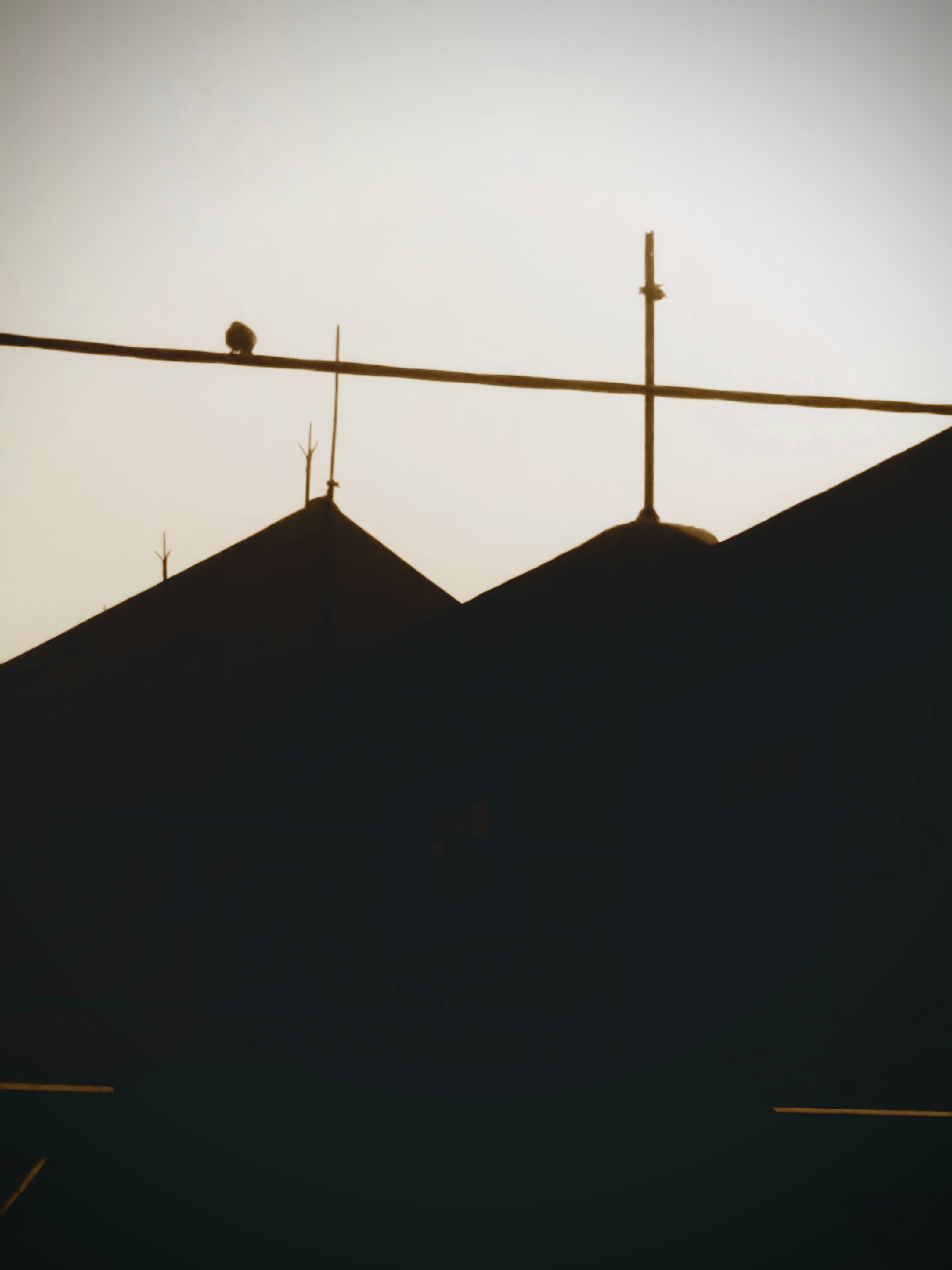 Photography 4